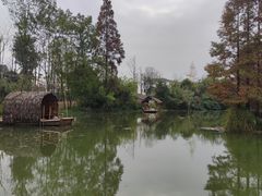 -桤木河湿地公园