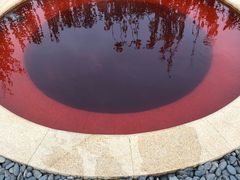 -大连金石滩绿发温泉假日酒店
