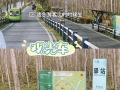 -合肥滨湖国家森林公园