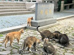 -穹窿山景区