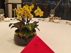 -顺德渔村·岭南一号