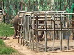 -西安秦岭野生动物园