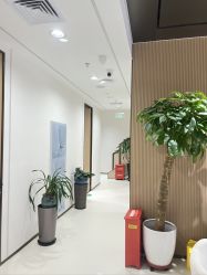 -幼泡泡连锁美容医疗