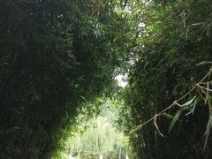 -暨阳湖生态园