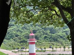 -花岙岛