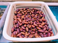 -老姑砂锅·烧烤天津菜(体北道店)