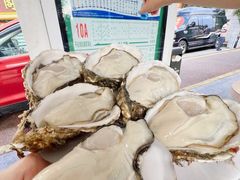 -濠轩阁特色生蚝火锅(水湾路店)