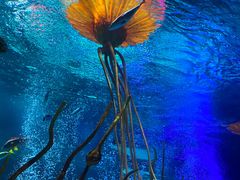 -沈阳海洋探索中心