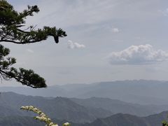 -王顺山国家森林公园