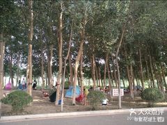-丁香湖公园