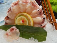 -鲐赏河豚(长寿店)