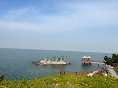 -养马岛旅游度假区