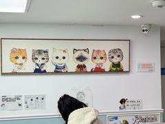 -纳吉亚猫专科动物医院·北北分院