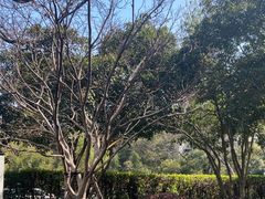 -中国茶叶博物馆(双峰馆区)