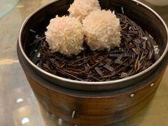 -风波庄(罍街分舵)