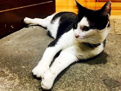 -猫的天空之城概念书店(杭州南宋御街店)