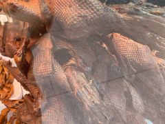 -张鸭子重庆特产卤味小吃(未来国际店)