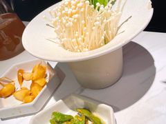 -九鼎轩脆毛肚火锅(三钢里店)