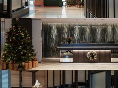 -新加坡乌节希尔顿酒店 (SG Clean)