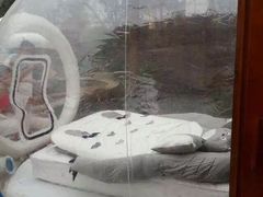 -郑州银基黄帝宫御温泉