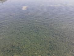 -尚贤河湿地