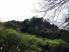 -广州市石门国家森林公园