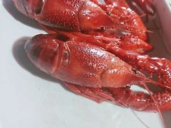 -霸王虾·麻辣小龙虾(清水河公园店)