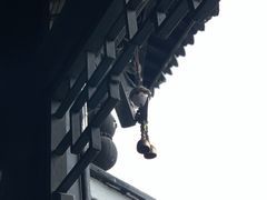 -重庆园博园