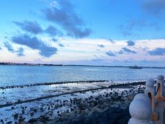 -西海岸·牛扒西厨(霞山总店)