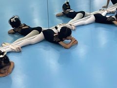 -西安小天鹅艺术团(曲江Alice店)