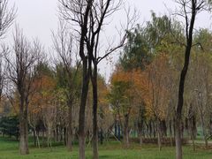-洨河生态公园