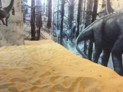 -恐龙探索乐园(磁器口店)