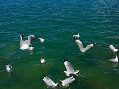-班公湖