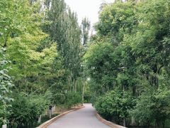 -大兴滨河森林公园