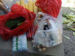 -西涌国际滨海旅游区