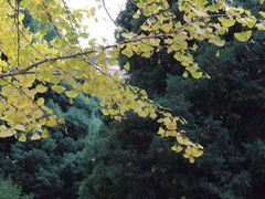 -辽宁大学(崇山校区)