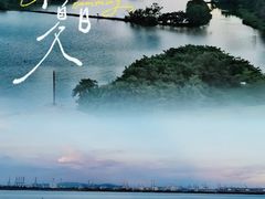 -大湾区中央湿地公园