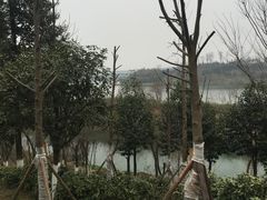 -白鹭湾湿地公园