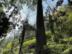 -青城山