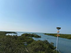-北海金海湾红树林生态旅游区