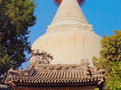 -妙应寺白塔