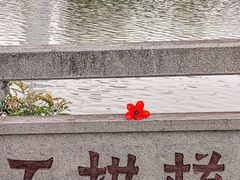 -东山湖公园