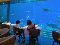 -亚特兰蒂斯•OSSIANO奥西亚诺海底餐厅