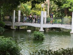 -九龙公园