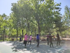 -回龙观体育文化公园