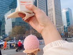 -野人先生现做冰淇淋(北京环宇荟店)