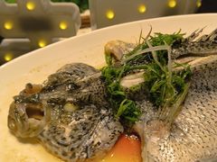 广式珍珠斑-同庆楼(花园店)