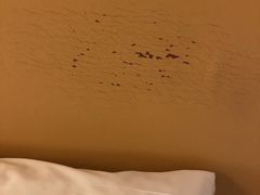 -济南富力凯悦酒店