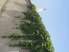 iphone_upload_pic-董家渡天主堂