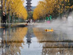 -龙华素斋(龙华路店)